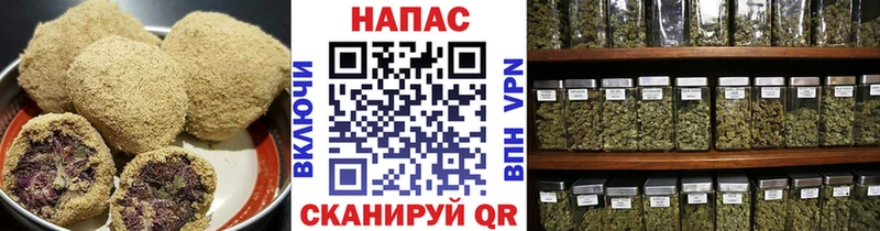 Canna-Cookies марихуана Новый Уренгой