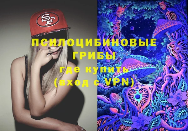 ПСИЛОЦИБИНОВЫЕ ГРИБЫ Нефтекумск