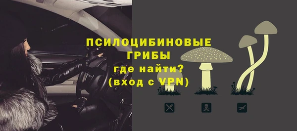 МДПВ Новозыбков