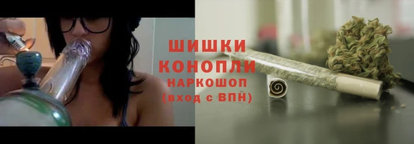 МДПВ Новозыбков