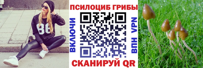 Псилоцибиновые грибы ЛСД купить наркотики цена Новый Уренгой