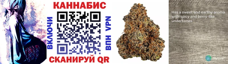 Конопля ГИДРОПОН  Новый Уренгой 